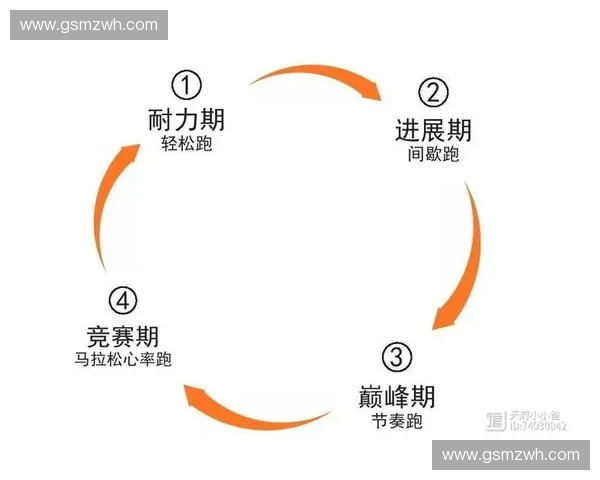 科學制定運動計劃：以目標心率為核心提高健康效果